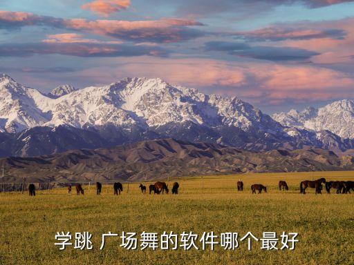 学跳 广场舞的软件哪个最好
