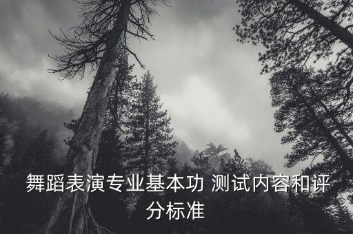  舞蹈表演专业基本功 测试内容和评分标准