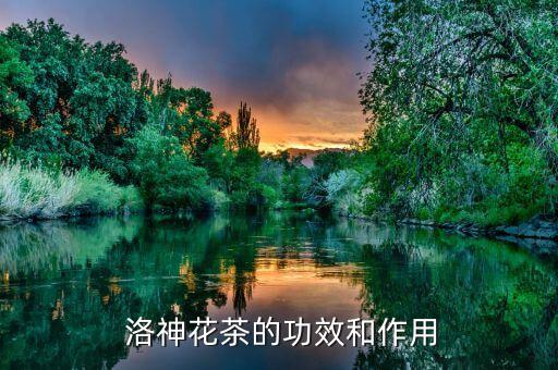 洛神杯舞蹈大赛
