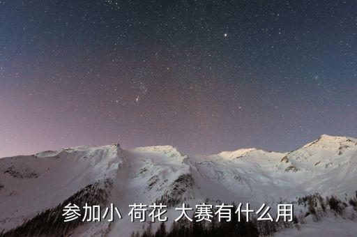 小荷花杯舞蹈大赛