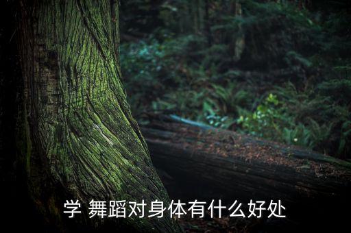 舞蹈使人年,2022年舞蹈