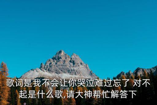 歌词是我不会让你哭泣难过忘了 对不起是什么歌,请大神帮忙解答下
