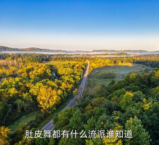 肚皮舞都有什么流派谁知道