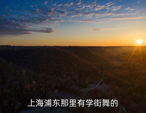 上海浦东那里有学街舞的