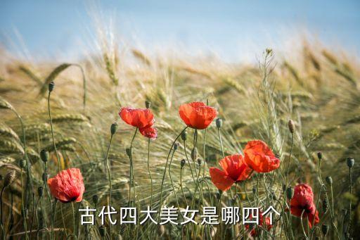 浣纱女舞蹈,伍子胥与浣纱女的典故