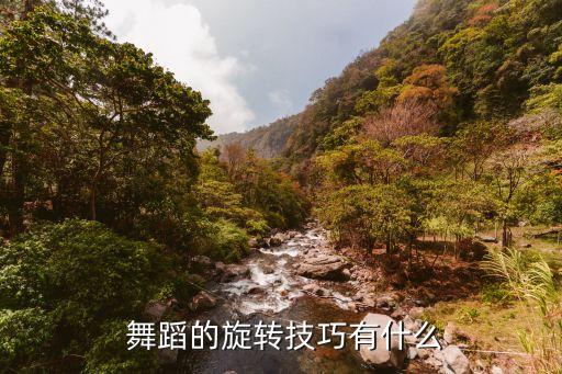  舞蹈的旋转技巧有什么