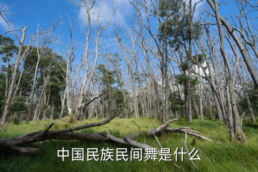 中国民族民间舞是什么