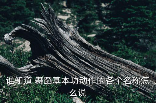 谁知道 舞蹈基本功动作的各个名称怎么说