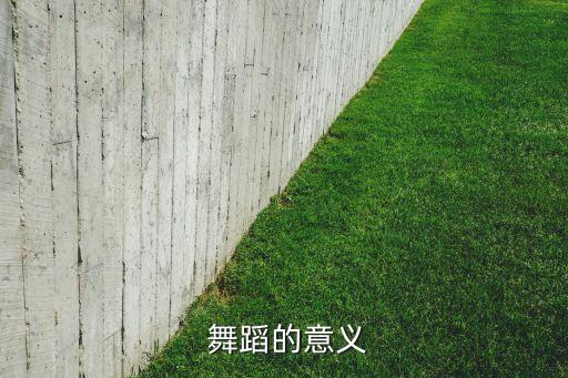  舞蹈的意义