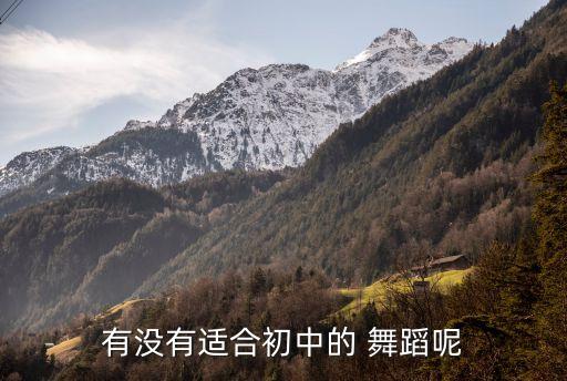 有没有适合初中的 舞蹈呢
