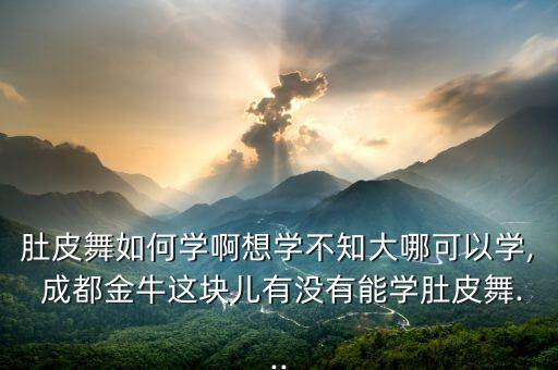 肚皮舞如何学啊想学不知大哪可以学, 成都金牛这块儿有没有能学肚皮舞...