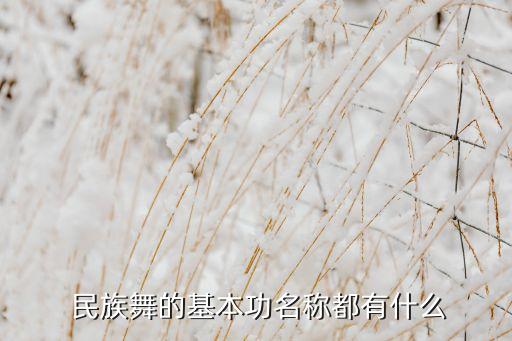  民族舞的基本功名称都有什么