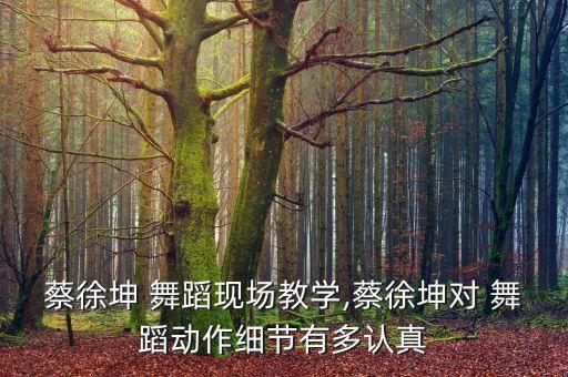蔡徐坤 舞蹈现场教学,蔡徐坤对 舞蹈动作细节有多认真