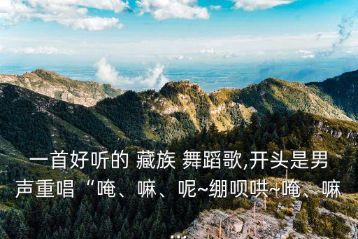 一首好听的 藏族 舞蹈歌,开头是男声重唱“唵、嘛、呢~绷呗哄~唵、嘛...