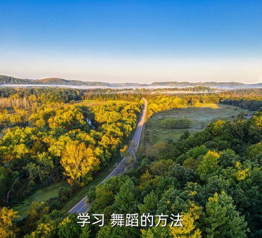 专业老师的舞蹈视频下载,教会最新最好舞蹈视频下载