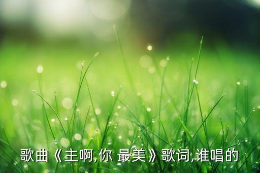 歌曲《主啊,你 最美》歌词,谁唱的
