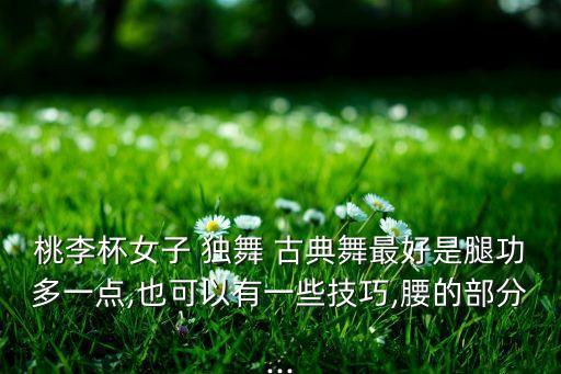 桃李杯女子 独舞 古典舞最好是腿功多一点,也可以有一些技巧,腰的部分...