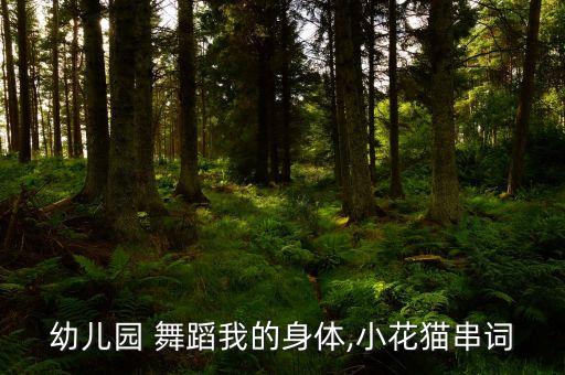 幼儿园 舞蹈我的身体,小花猫串词