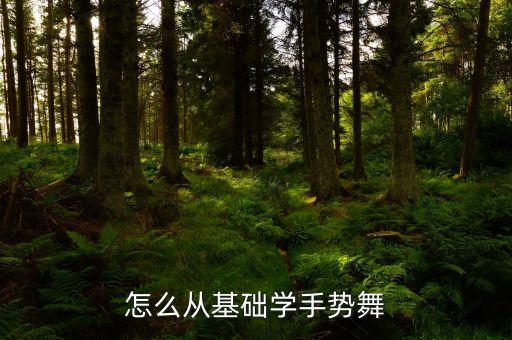 怎么从基础学手势舞