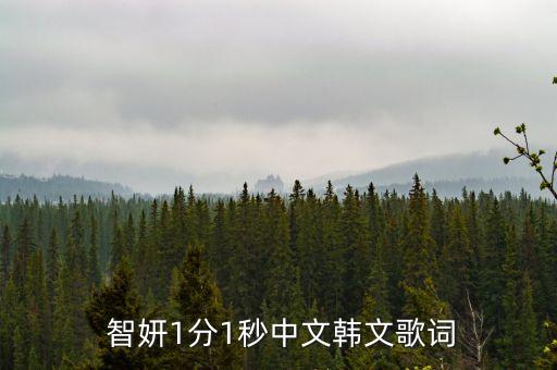 智妍1分1秒中文韩文歌词