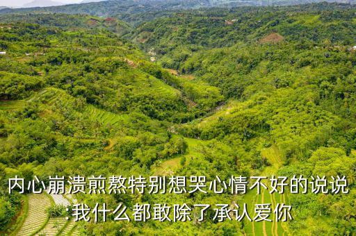 内心崩溃煎熬特别想哭心情不好的说说:我什么都敢除了承认爱你