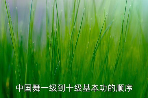中国舞一级到十级基本功的顺序