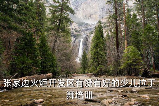 张家边火炬开发区有没有好的少儿拉丁舞培训