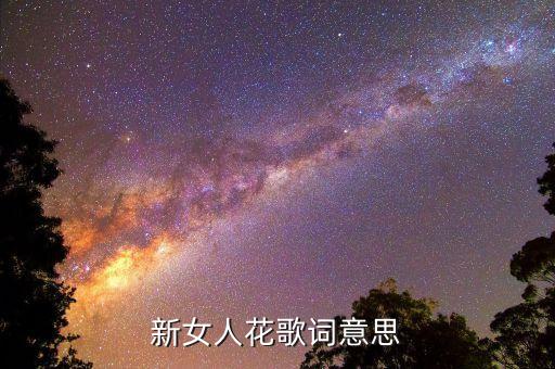 新女人花歌词意思