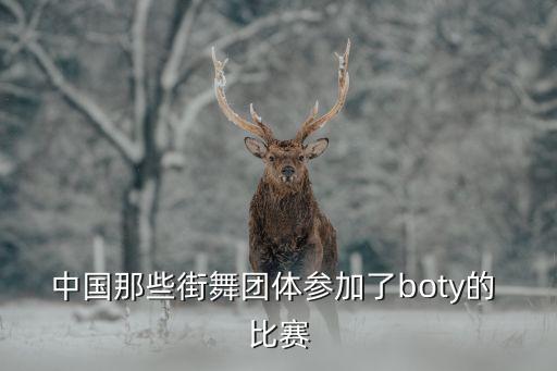 中国那些街舞团体参加了boty的 比赛