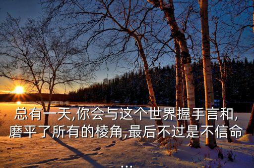 总有一天,你会与这个世界握手言和,磨平了所有的棱角,最后不过是不信命...