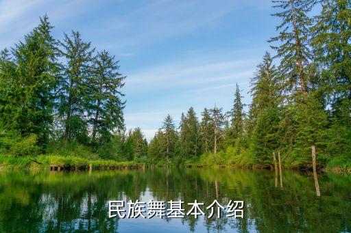民族舞基本介绍