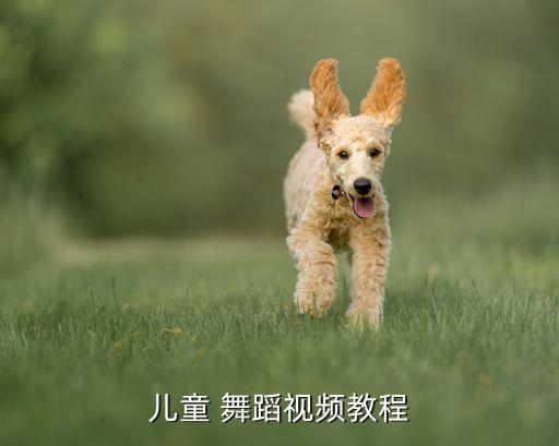 儿童 舞蹈视频教程