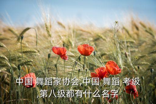 中国 舞蹈家协会,中国 舞蹈 考级,第八级都有什么名字