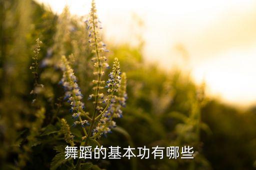  舞蹈的基本功有哪些
