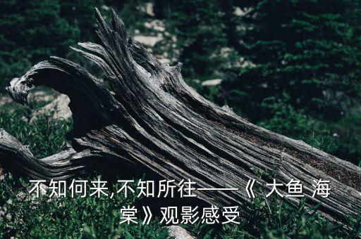 大鱼海棠舞蹈视频下载,舞蹈大鱼海棠完整版
