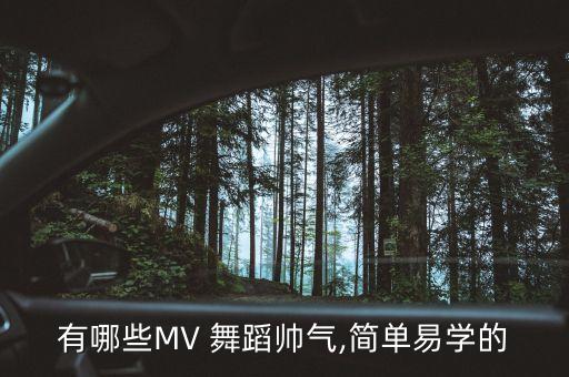 有哪些MV 舞蹈帅气,简单易学的