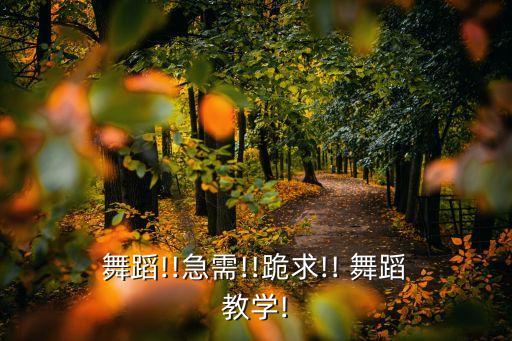  舞蹈!!急需!!跪求!! 舞蹈 教学!