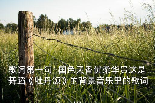 歌词第一句: 国色天香优柔华贵这是 舞蹈《牡丹颂》的背景音乐里的歌词...