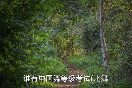 谁有中国舞等级考试(北舞