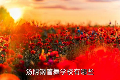 汤阴钢管舞学校有哪些