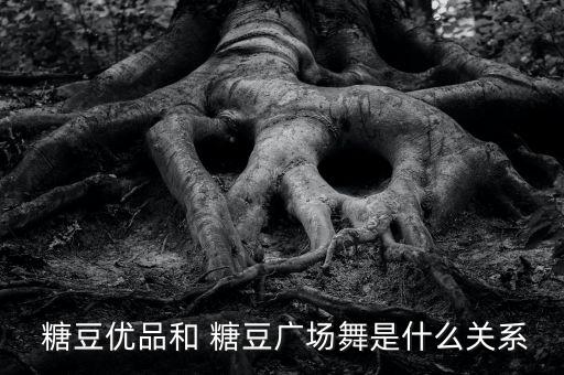 糖豆萱萱舞蹈,糖豆舞蹈大全广场舞
