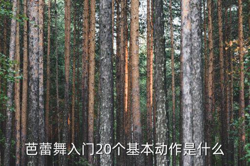 简单好看的舞蹈姿势图片,简单又好看的舞蹈 女生版教程