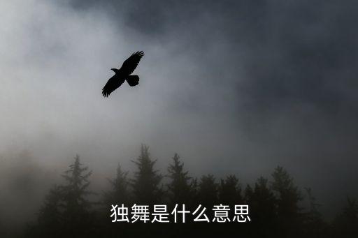  独舞是什么意思