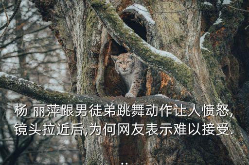 杨 丽萍跟男徒弟跳舞动作让人愤怒,镜头拉近后,为何网友表示难以接受...