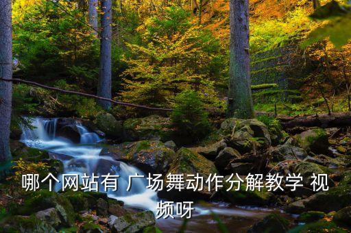 哪个网站有 广场舞动作分解教学 视频呀