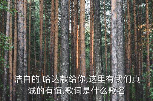 舞蹈洁白哈达视频,蒙古族拿哈达舞蹈视频
