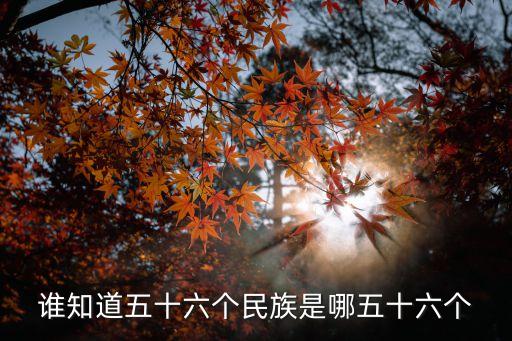 谁知道五十六个民族是哪五十六个