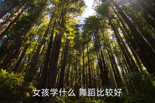 哪种舞蹈适合女生,适合女生学的酷酷的舞蹈
