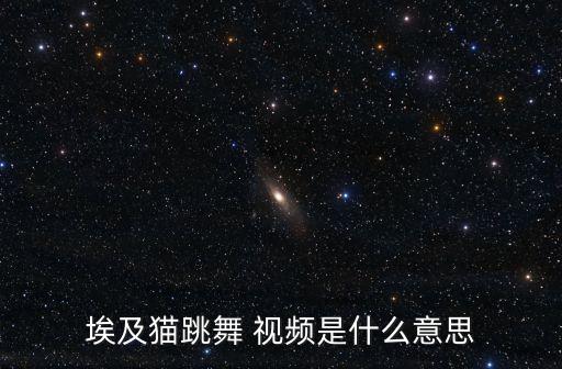 埃及猫跳舞 视频是什么意思