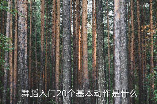  舞蹈入门20个基本动作是什么